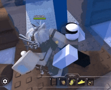 a person in a video game with the name minecraft