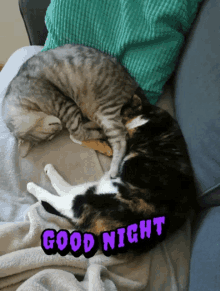 Night Exhausted GIF - Night Exhausted Cat GIFs