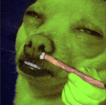 a picture of a man smoking a cigar with a green background
