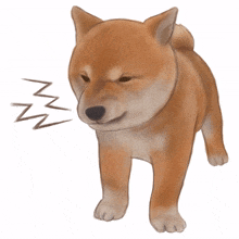 animal shiba dog puppy cute