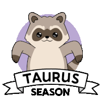 a cartoon raccoon is standing in front of a banner that says taurus season