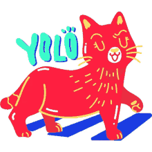 cat walking pedestrian yolo you only live once