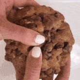 Chocolate Chip Cookie Cookies GIF - Chocolate Chip Cookie Cookies Dessert GIFs