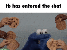 Tb Cookie Monster GIF - Tb Cookie Monster Entered The Chat GIFs