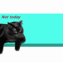 a black cat laying on a blue surface with the words " not today "