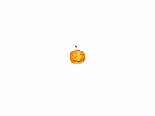 pumpkin halloween jack o lantern seed
