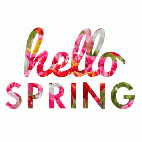 Hello Spring GIF - Hello Spring GIFs