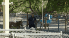 Running With A Donkey Cesar Millan Better Human Better Dog GIF