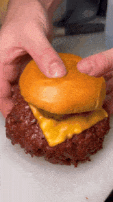 a person is holding a hamburger with cheese and pickles on a bun