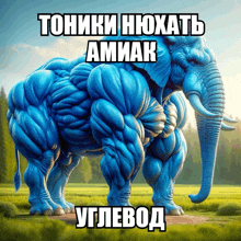 a blue elephant with huge muscles is standing in a field with a caption in russian