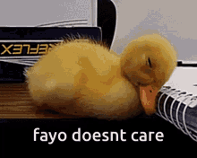 Fayo King_fayo GIF - Fayo King_fayo Fayo Doesnt GIFs