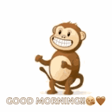 excited monkey happy dance good morning