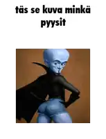 a picture of a cartoon character with a caption that says " tas se kuva minka pyysit "