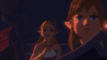 Zelda Zelda Aoc GIF - Zelda Zelda Aoc Botw GIFs