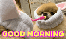 Good Morning Puppy GIF - Good Morning Puppy Dog GIFs