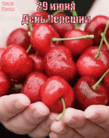 a person is holding a bunch of cherries in their hands with the date 29 on the bottom