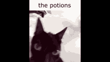The Potions GIF - The Potions GIFs