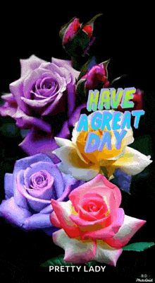 a bunch of colorful roses with the words have a great day