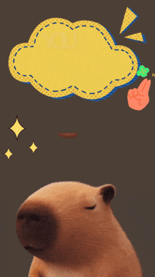 a capybara with a stack of oranges on its head says you 're gonna ace it im sure ..
