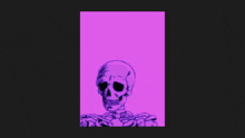 Purple Skull GIF - Purple Skull GIFs