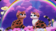 Cats In Love GIF - Cats In Love Under A Rainbow GIFs