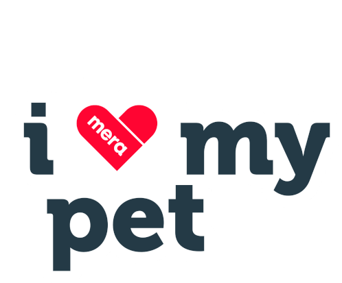 Love Cat Sticker - Love Cat Dog Stickers