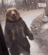 Bear Walk GIF - Bear Walk GIFs