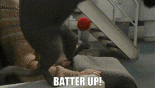 Cats And Dogs Catherine GIF - Cats And Dogs Catherine Batter Up GIFs