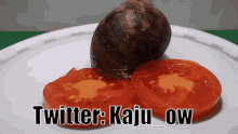 Kaju_ow Kaju Overwatch GIF - Kaju_ow Kaju Overwatch Snail Eating Tomato GIFs