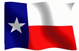 Texas Flag GIF - Texas Flag GIFs
