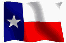 Texas Flag GIF - Texas Flag GIFs