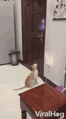 Open Door Get Me Out Of Here GIF - Open Door Get Me Out Of Here Leaving GIFs