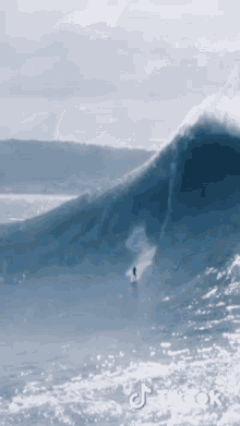 Surfing Surfer GIF - Surfing Surf Surfer GIFs