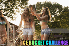 ice bucket challenge bikini girls bikini