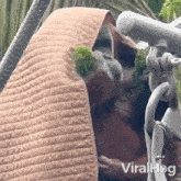 Eating Viralhog GIF - Eating Viralhog Munching GIFs