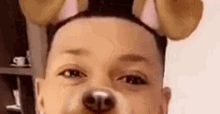 a close up of a man wearing a dog ear filter on his face .