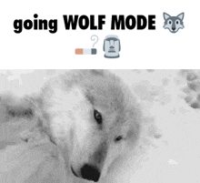 a picture of a wolf with the words going wolf mode