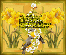 a greeting card with two birds and yellow flowers that says o zi perfecta prietene a perfect day friend