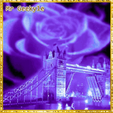 Mrgeekyle Bridge GIF - Mrgeekyle Bridge Roses GIFs