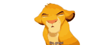 Simba Ew GIF - Simba Ew Lion King GIFs