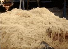 Spaghetti Endless GIF - Spaghetti Endless Food GIFs