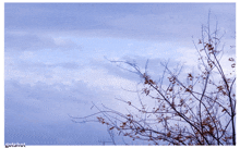 Sky Clouds GIF