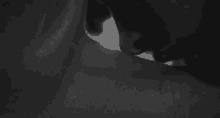 a black and white photo of a person 's neck and mouth