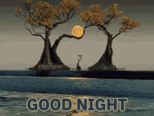Good Night Sleep Well GIF - Good Night Sleep Well Nighty Night GIFs