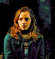 Hermione Granger GIF - Hermione Granger GIFs