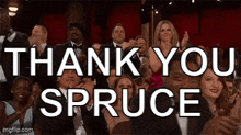Thank You Spruce GIF - Thank You Spruce GIFs