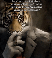 a man in a suit smoking a cigar with a tiger on his face