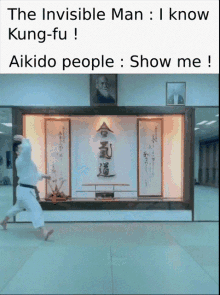 aikido meme falling matrix kung fu