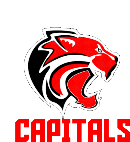 Madrid Capitals Sticker - Madrid Capitals Football Stickers