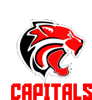 Madrid Capitals Sticker - Madrid Capitals Football Stickers